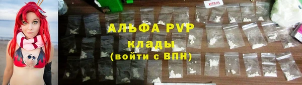 PSILOCYBIN Переславль-Залесский