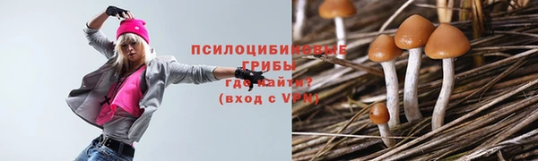 PSILOCYBIN Переславль-Залесский