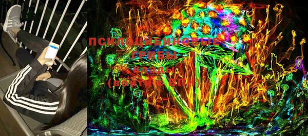 бошки Пестово