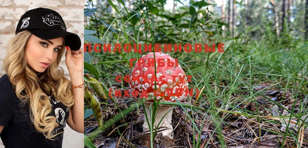 PSILOCYBIN Переславль-Залесский