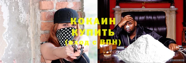 крисы Пересвет