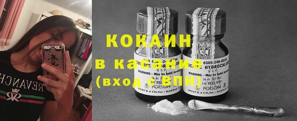 крисы Пересвет