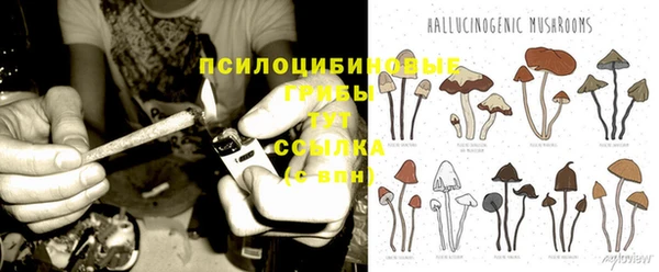 бошки Пестово