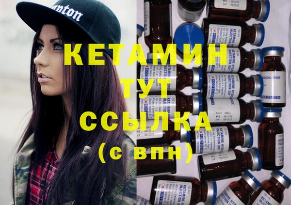 крисы Пересвет