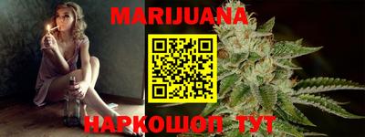 гашик Гатчина