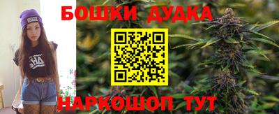 гашик Гатчина