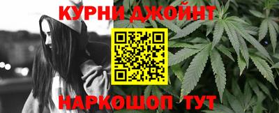 гашик Гатчина