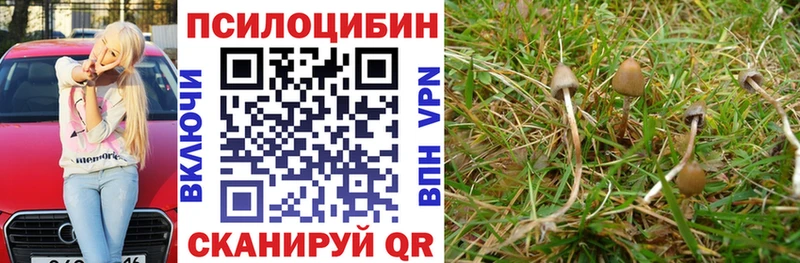 hydra ссылка  Бугуруслан  Псилоцибиновые грибы Psilocybine cubensis 