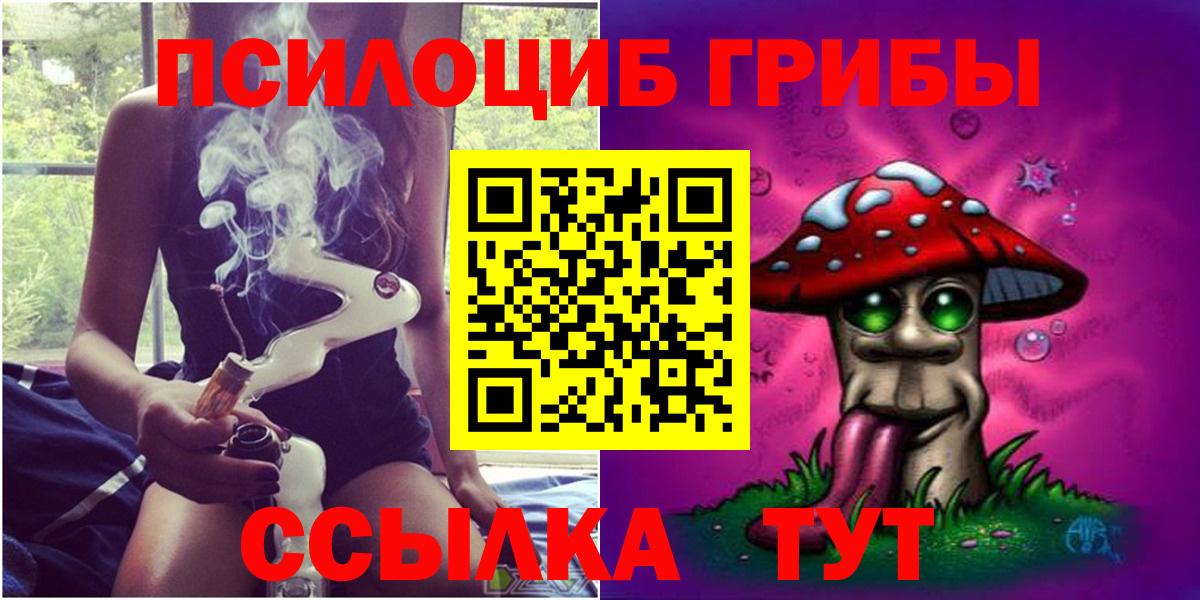 Псилоцибиновые грибы GOLDEN TEACHER  Бугуруслан  Псилоцибиновые грибы Psilocybe 